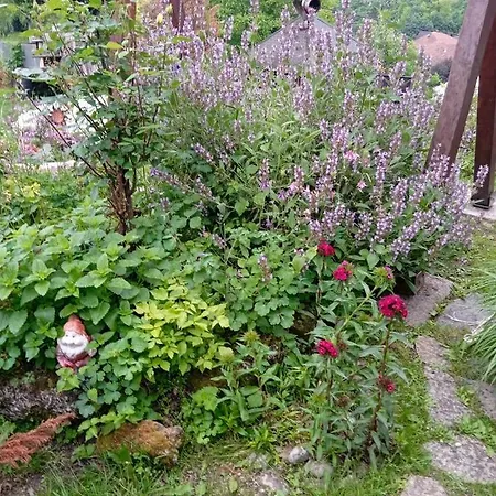 Privatni Smjestaj Kurtalija Guest house