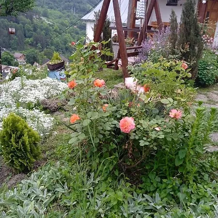 Privatni Smjestaj Kurtalija Jajce