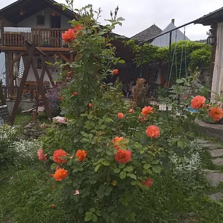 Privatni Smjestaj Kurtalija *