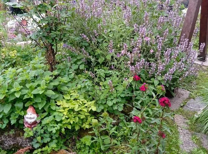 Privatni Smjestaj Kurtalija Guest house