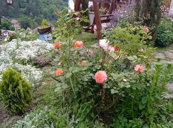 Privatni Smjestaj Kurtalija Jajce