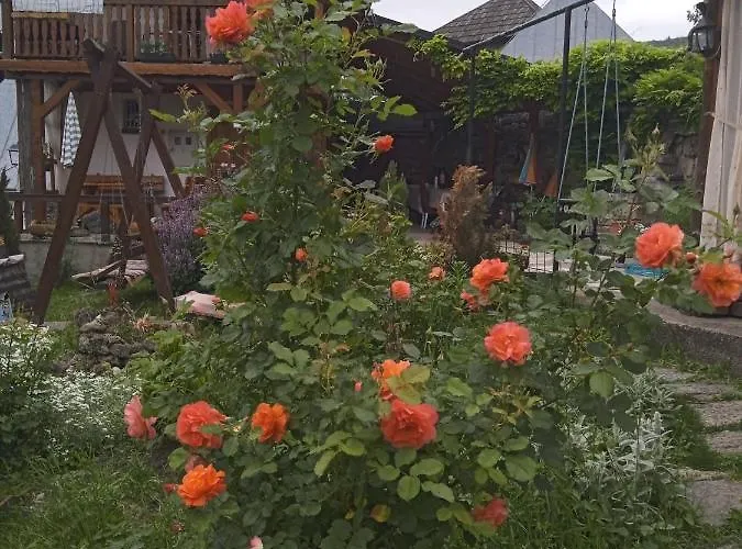 Privatni Smjestaj Kurtalija *